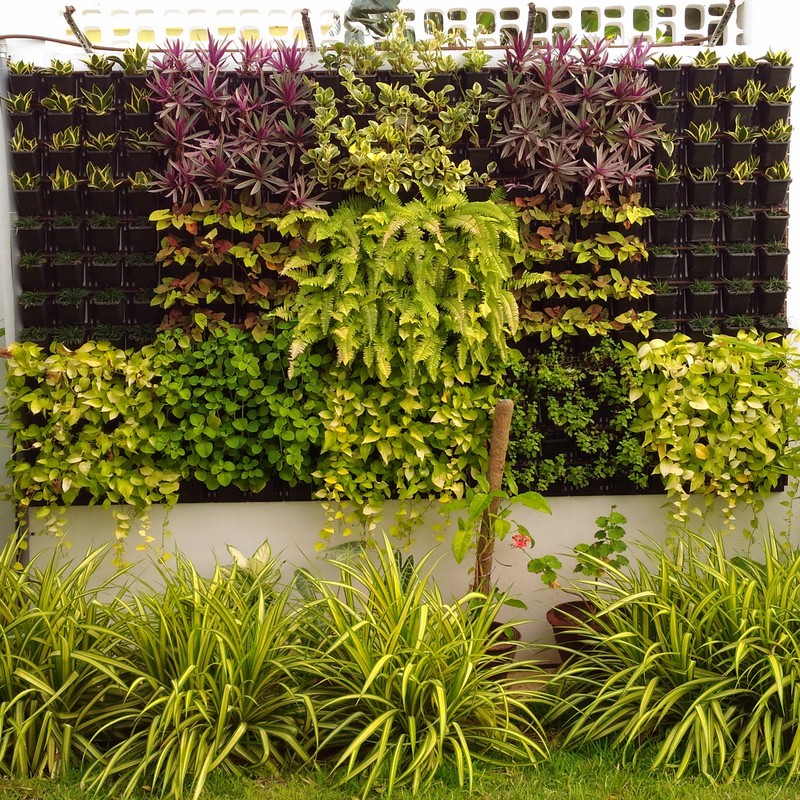 Arteries,Venkitapuram Coimbatore Plants and Nurseries in Coimbatore