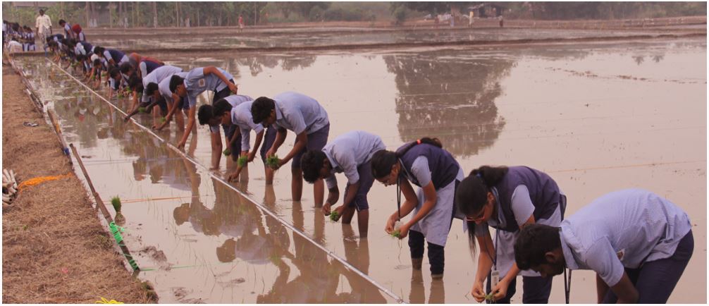 Tamil Nadu Agricultural Engineering College And Research Institute Lawely Road Coimbatore